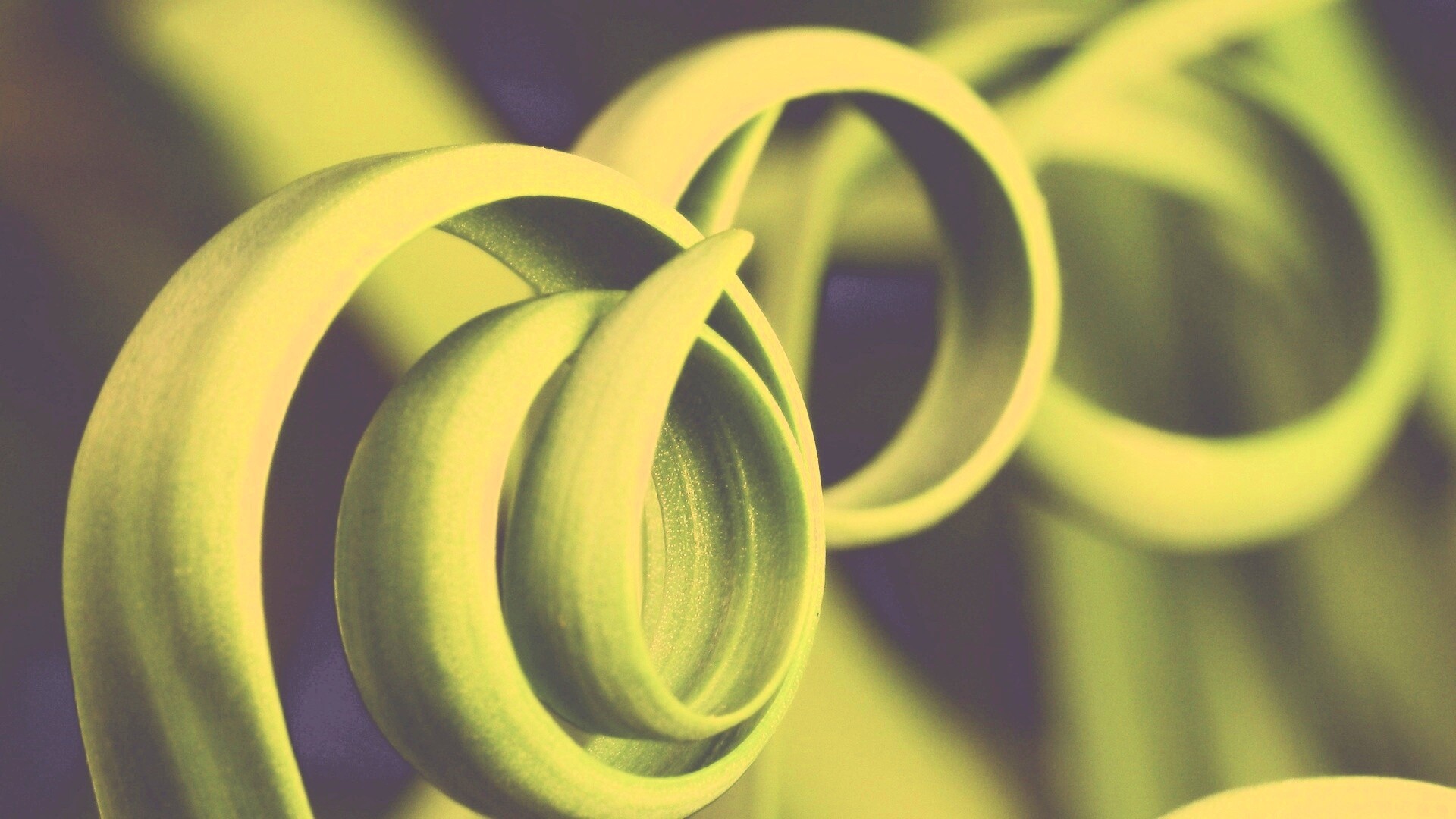 Зеленый обруч обои