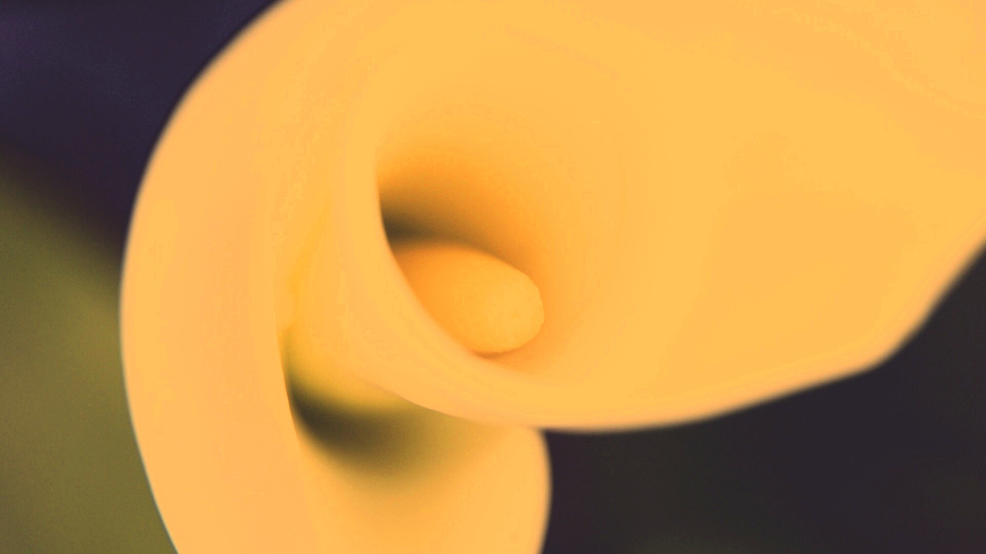 Спираль обои