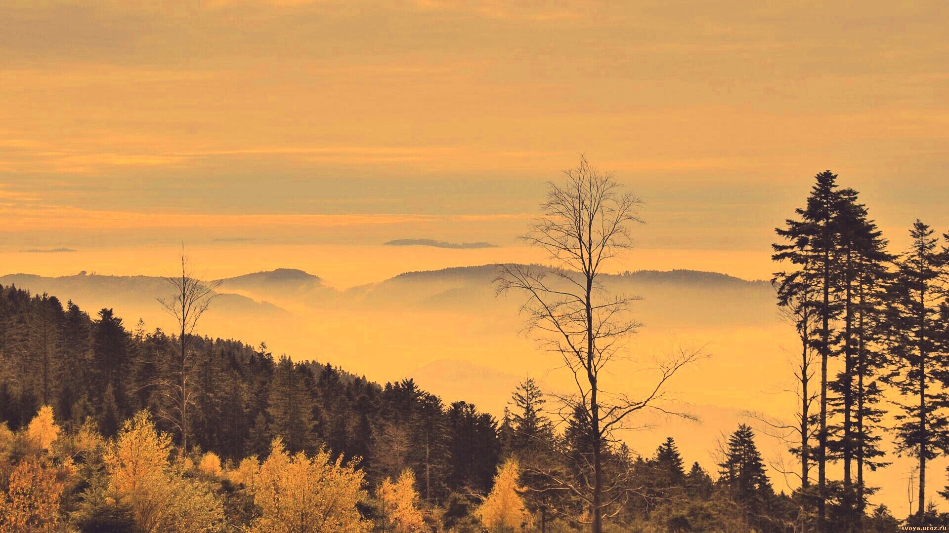 Холмы в тумане обои