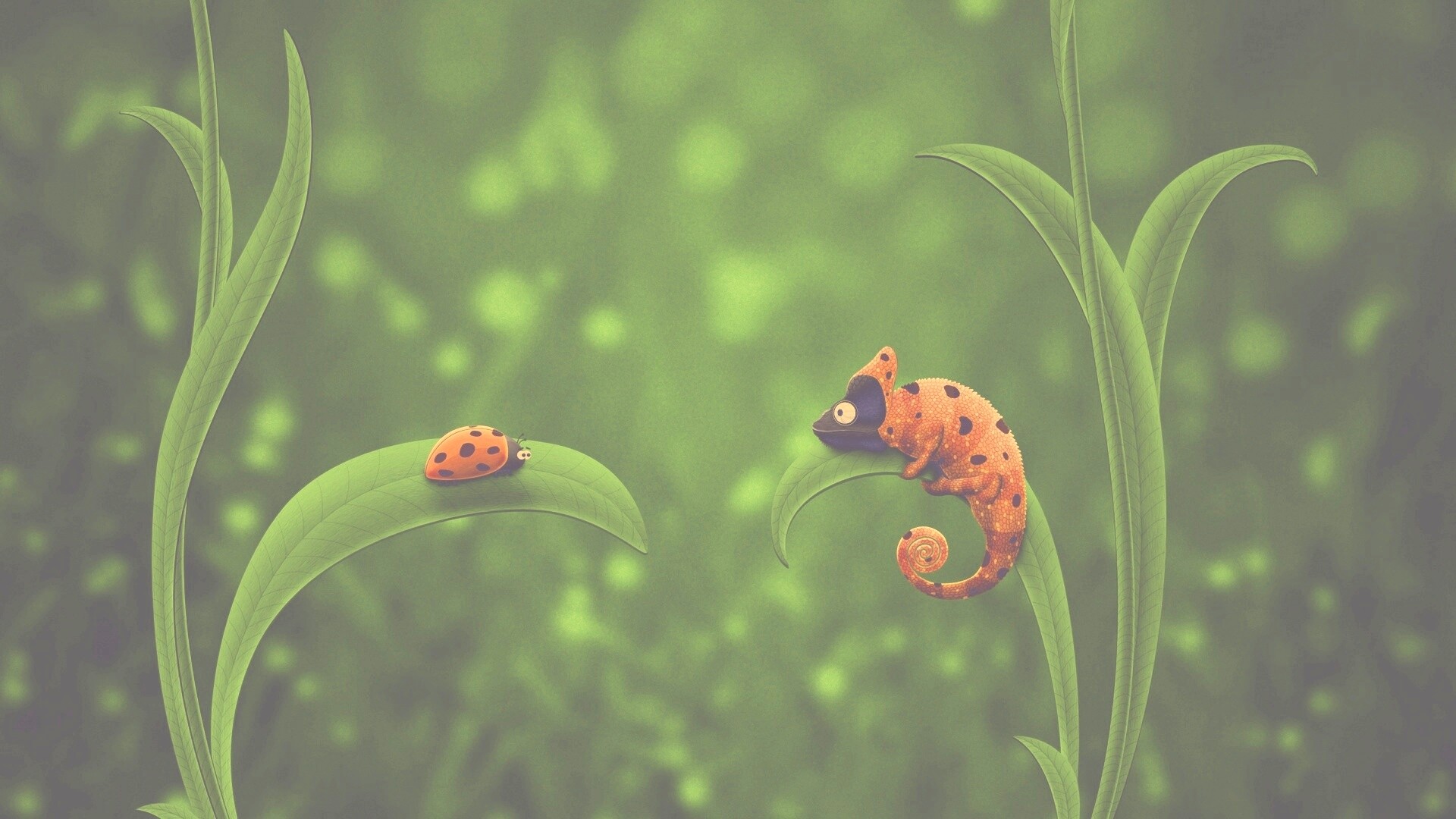 Хамелеон  замаскированный под божью коровку обои