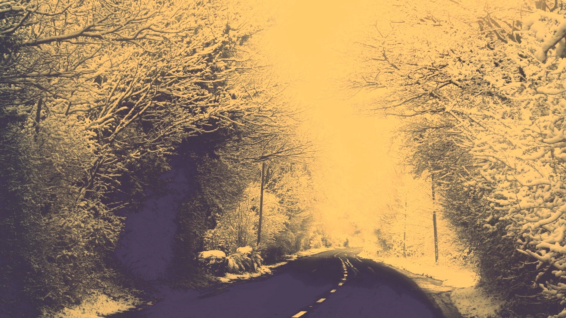 Дорога через зимний лес обои