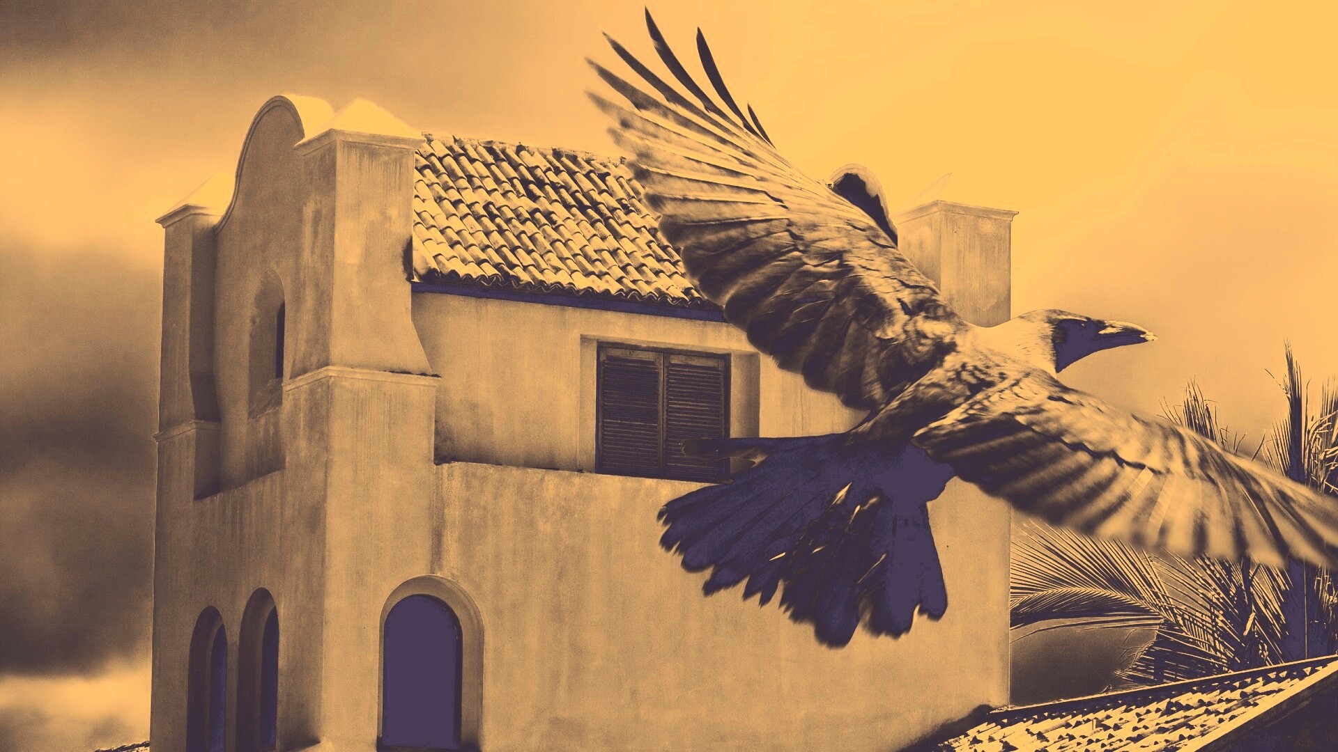 Полёт ворона обои