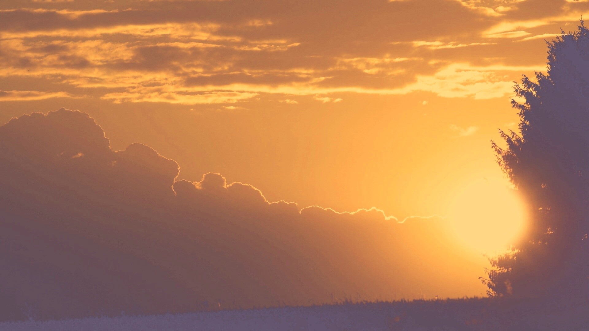 Теплый закат над полем обои