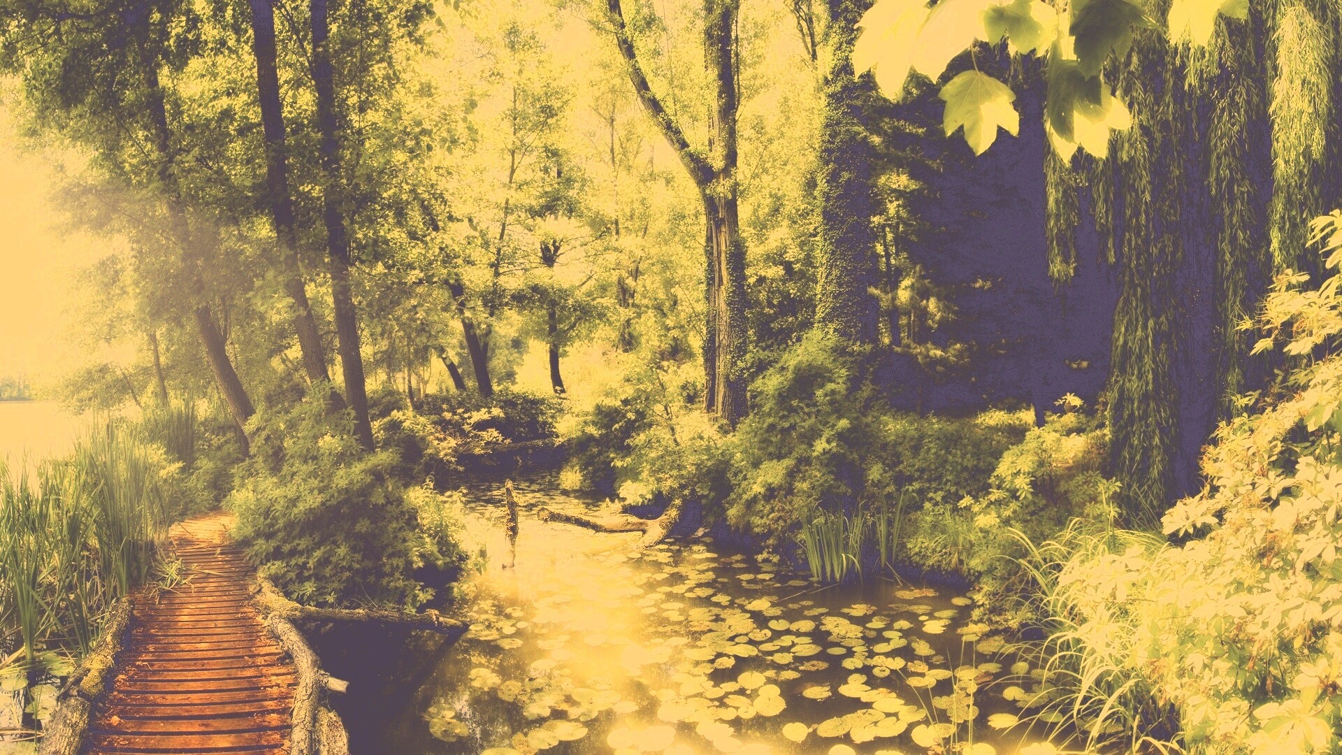 Пруд в лесу обои