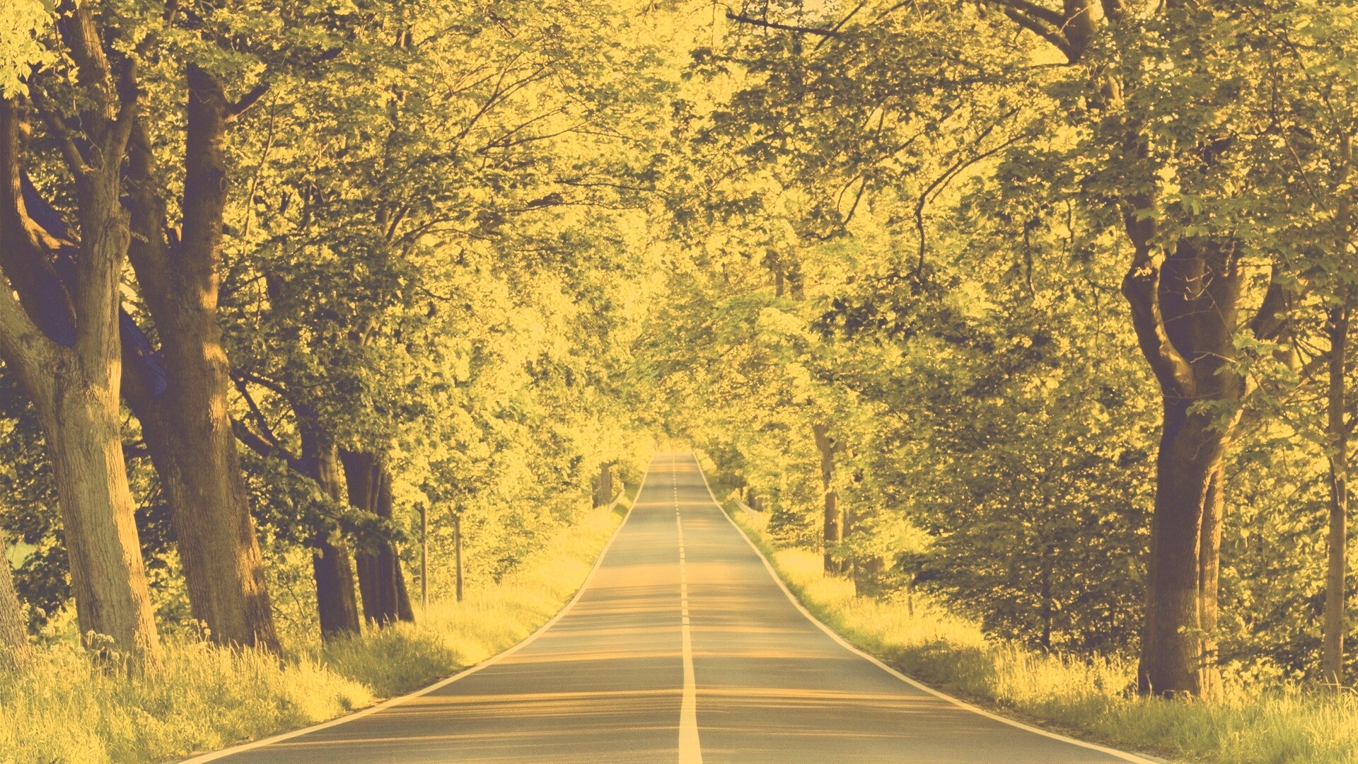 Под горку и в лес обои