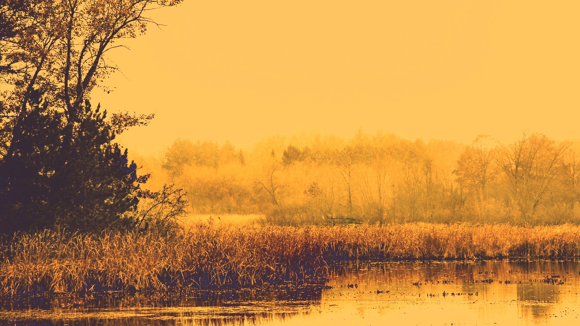 Живописные болота обои