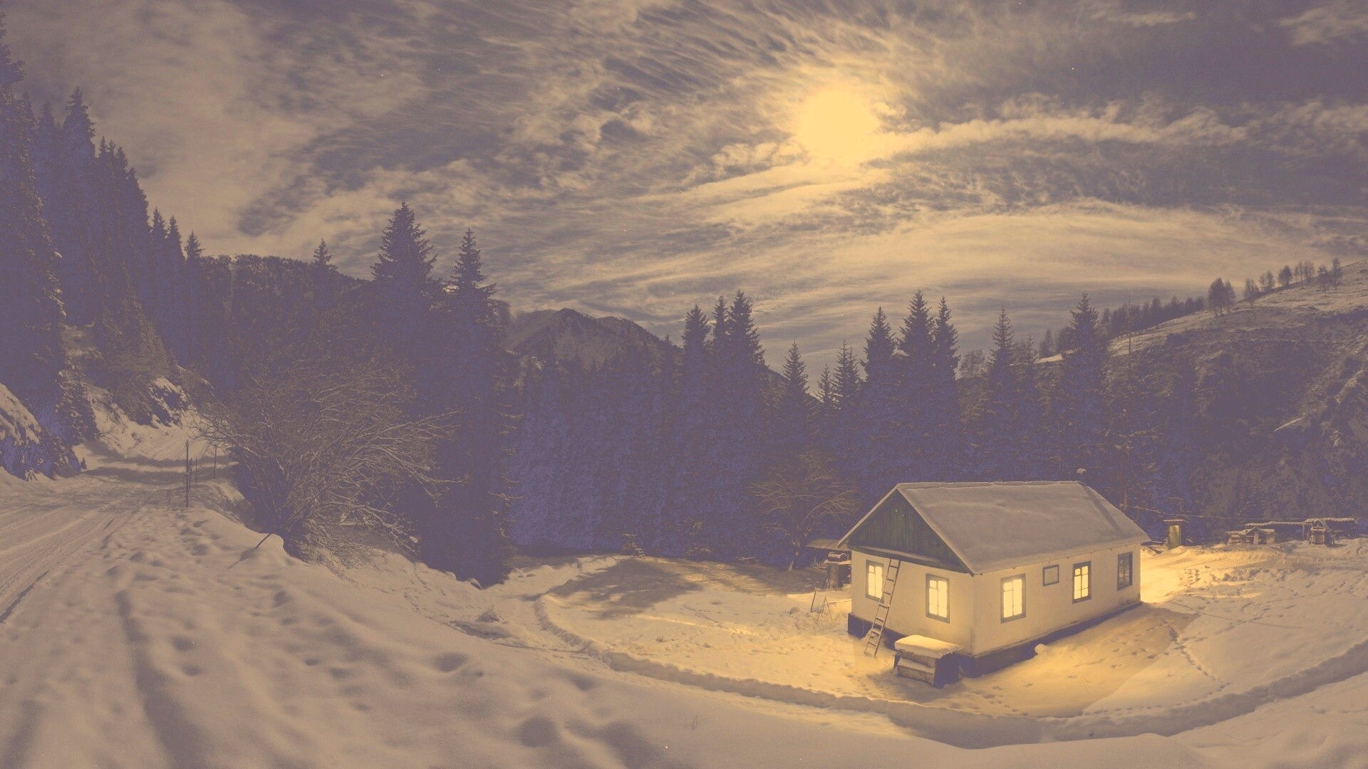 Один в зимнем лесу обои