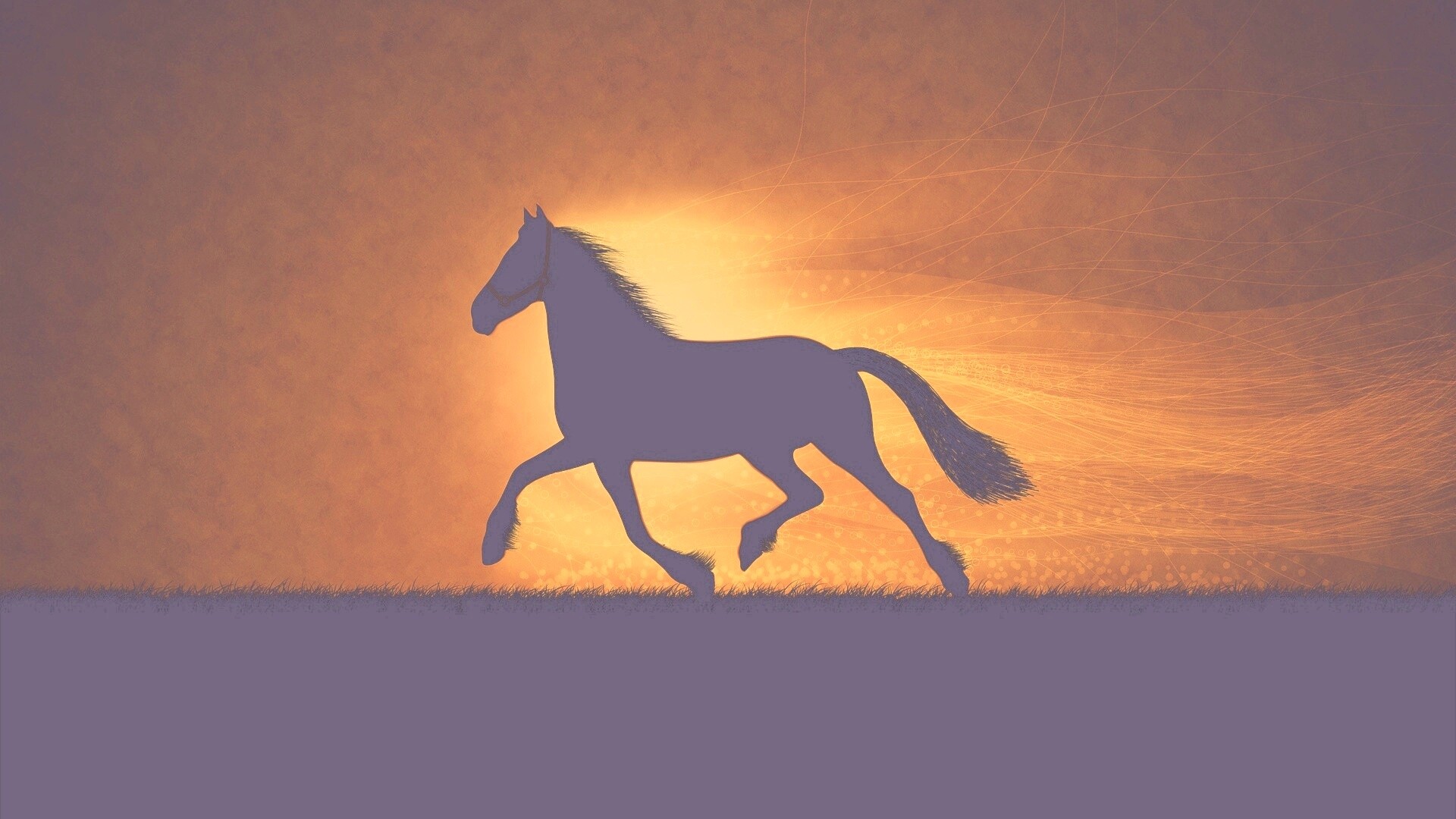 Силует коня на закате обои