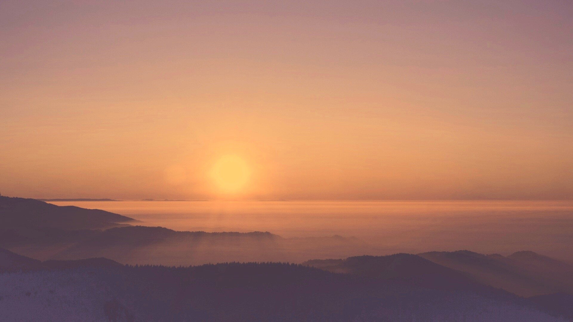 Восход солнца над лесом обои