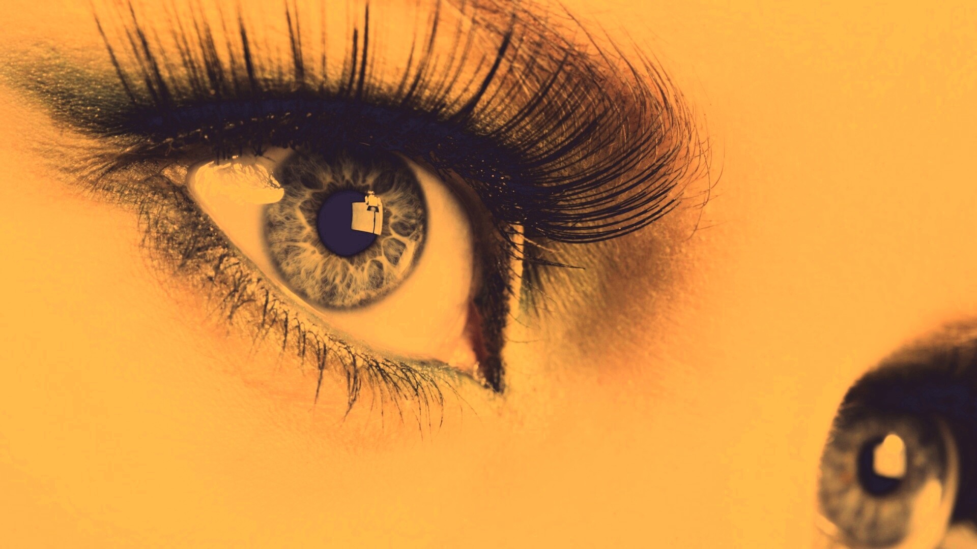 Глаза цвета стали обои