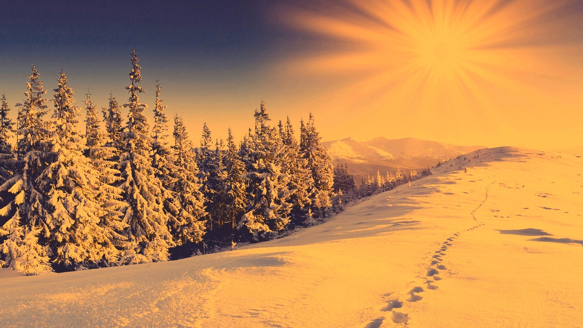 Холодные лучи зимнего солнца обои