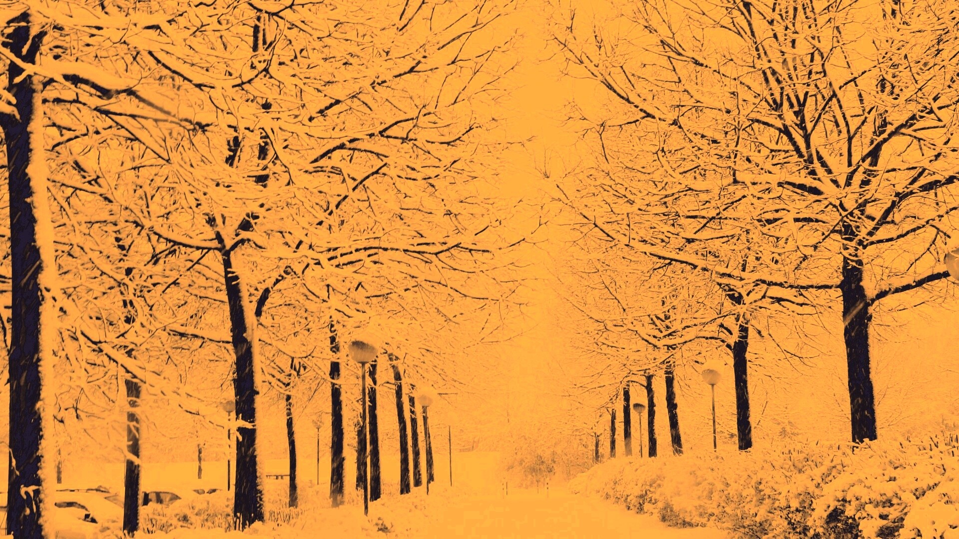 Заснеженная аллея обои