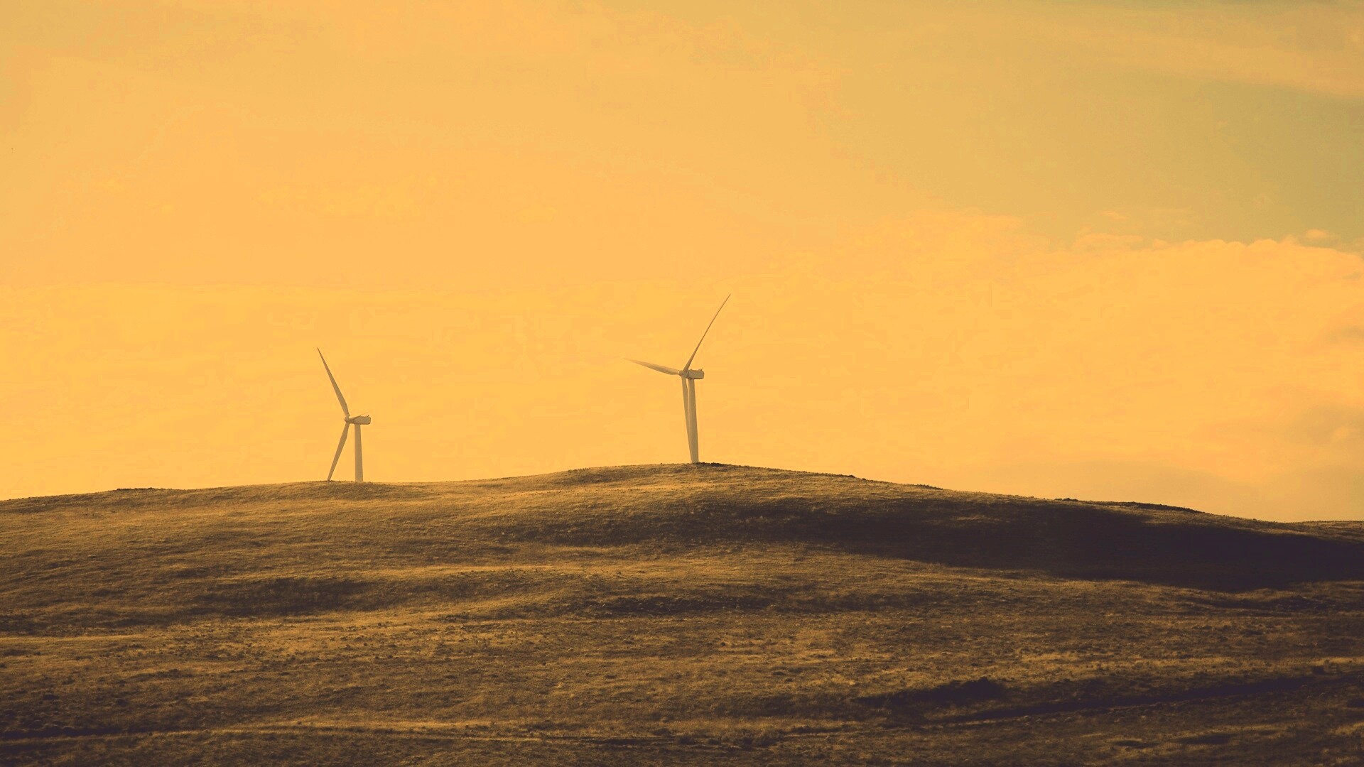 Ветряки в поле обои