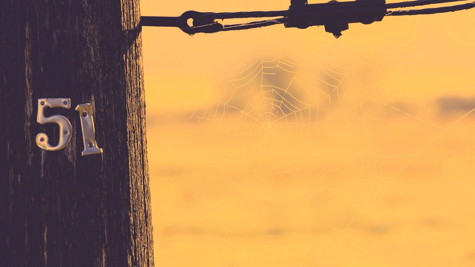 Паутина 51 обои