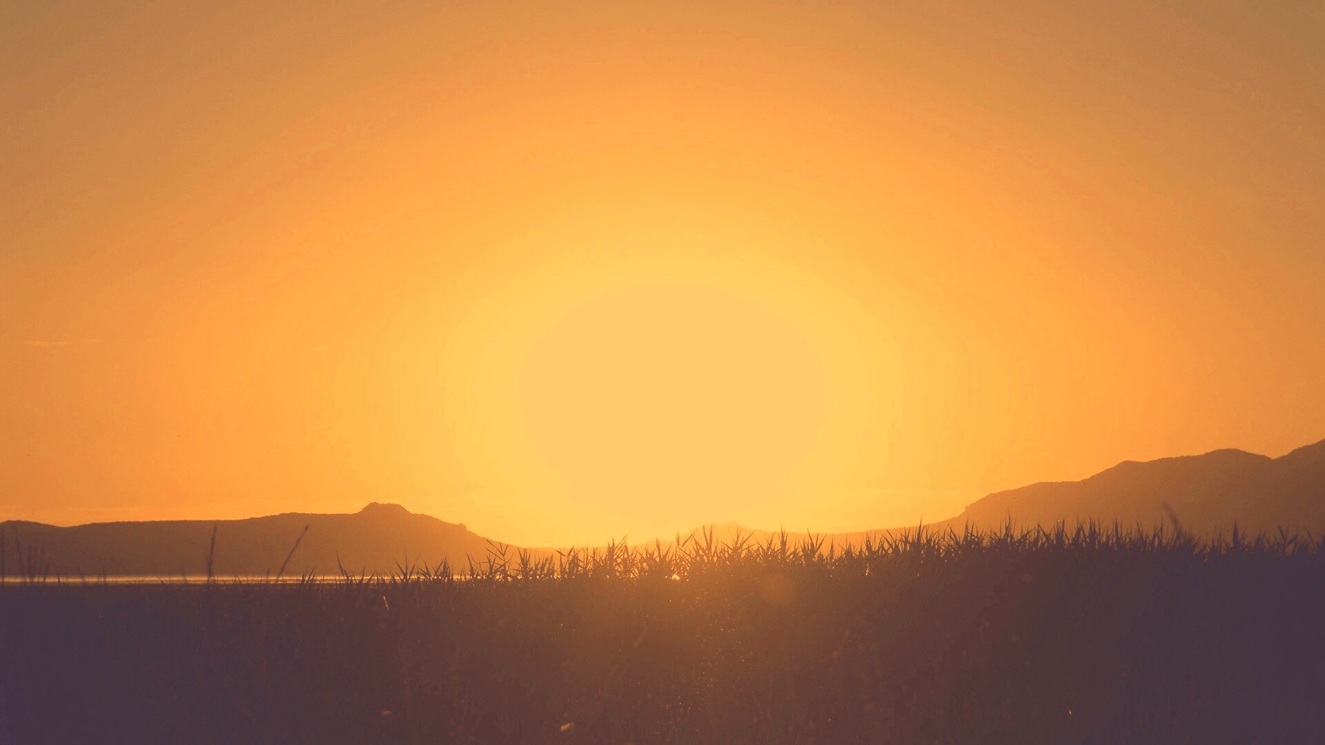 Сельский закат обои