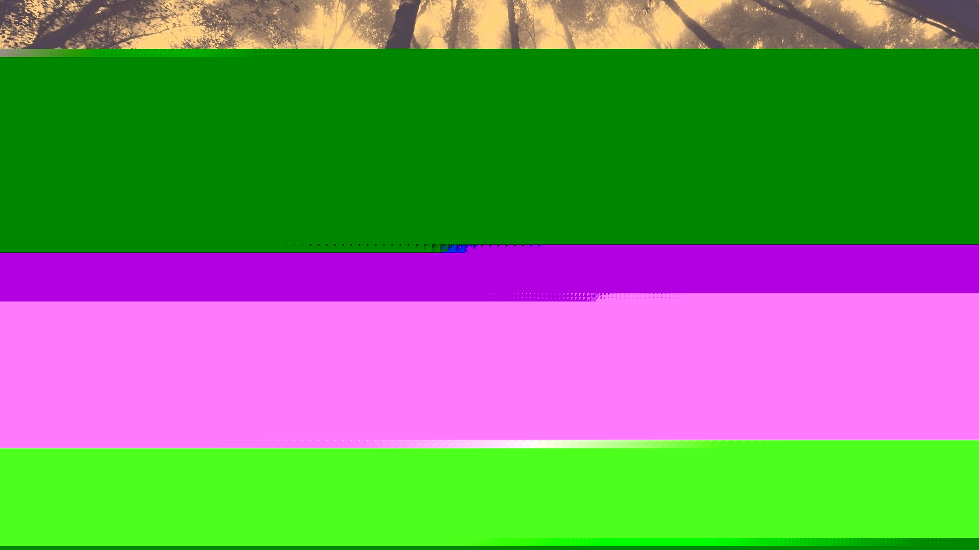 Джунгли обои