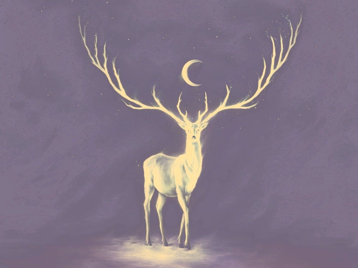 Олень в лунном свете обои