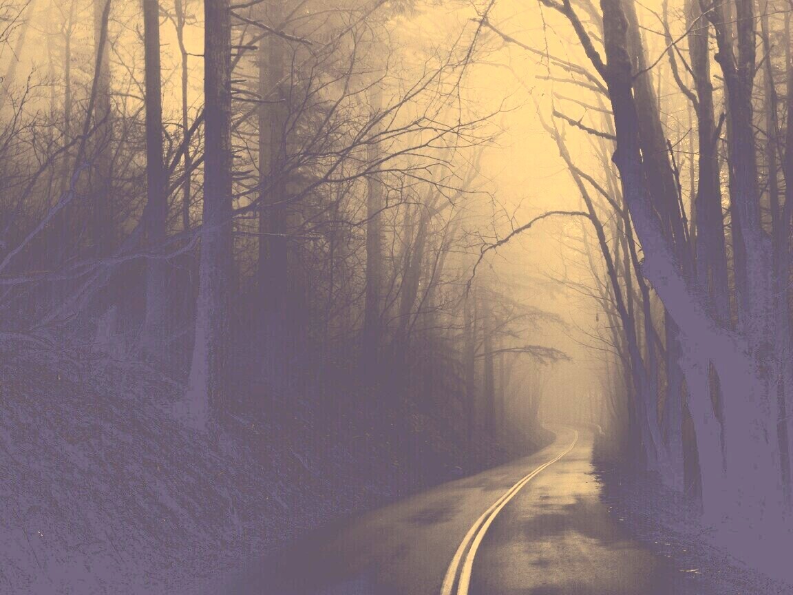 В туман обои