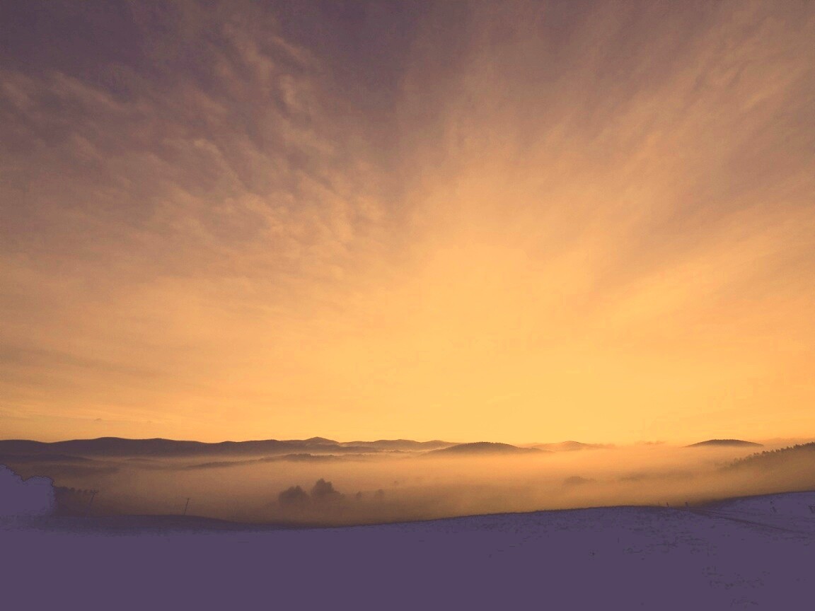 Утренний туман обои