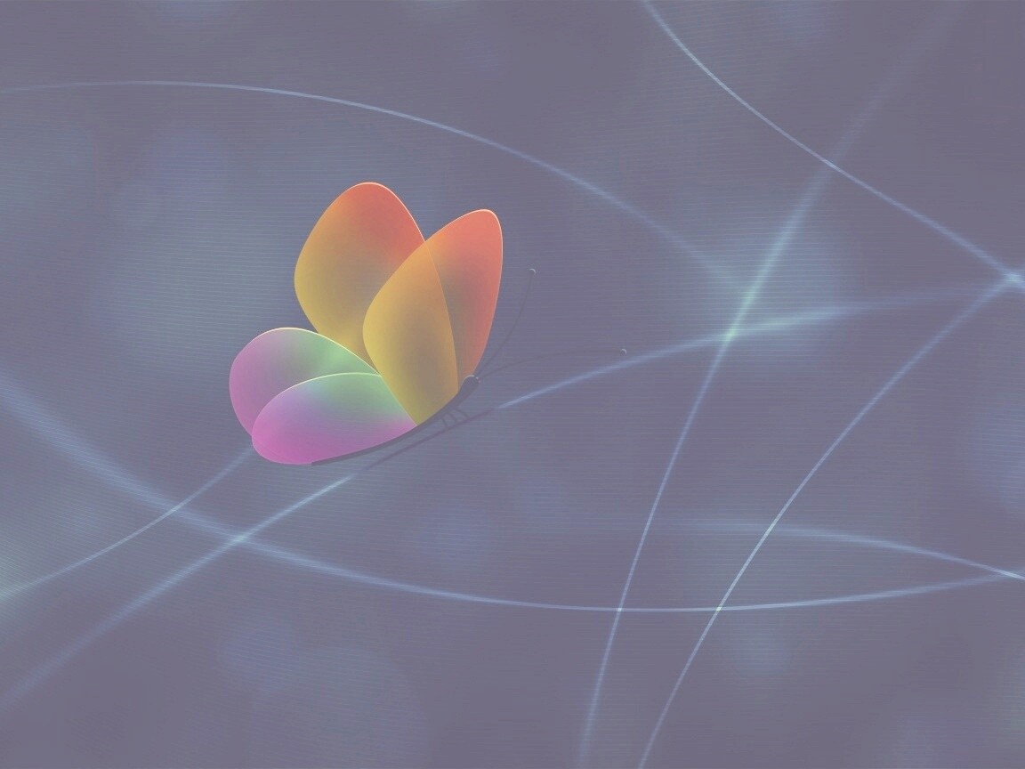 Бабочка с радужными крыльями обои