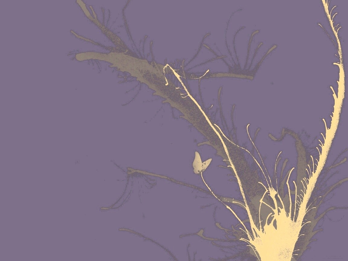 Абстракция из брызг обои