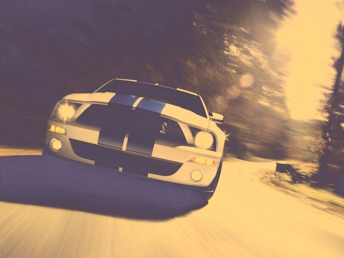 Форд Шелби с синими полосками обои