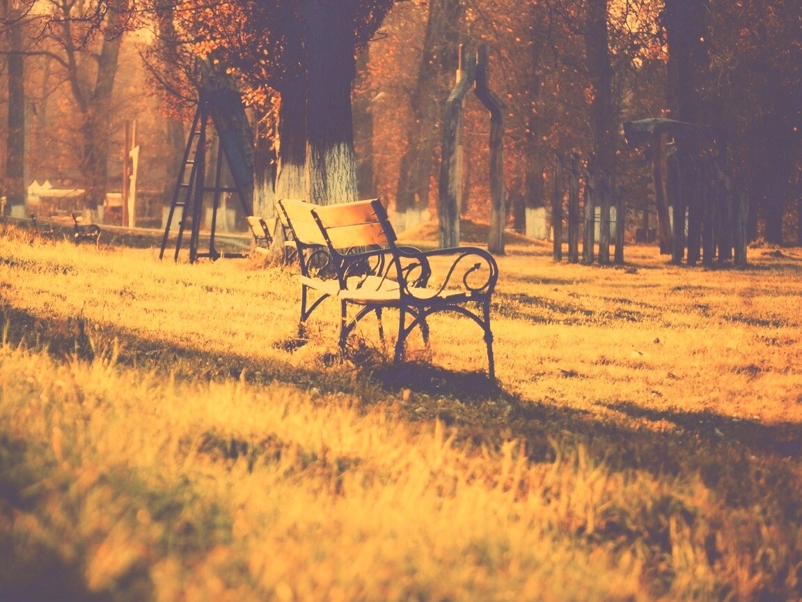 Скаймейка в осеннем парке обои