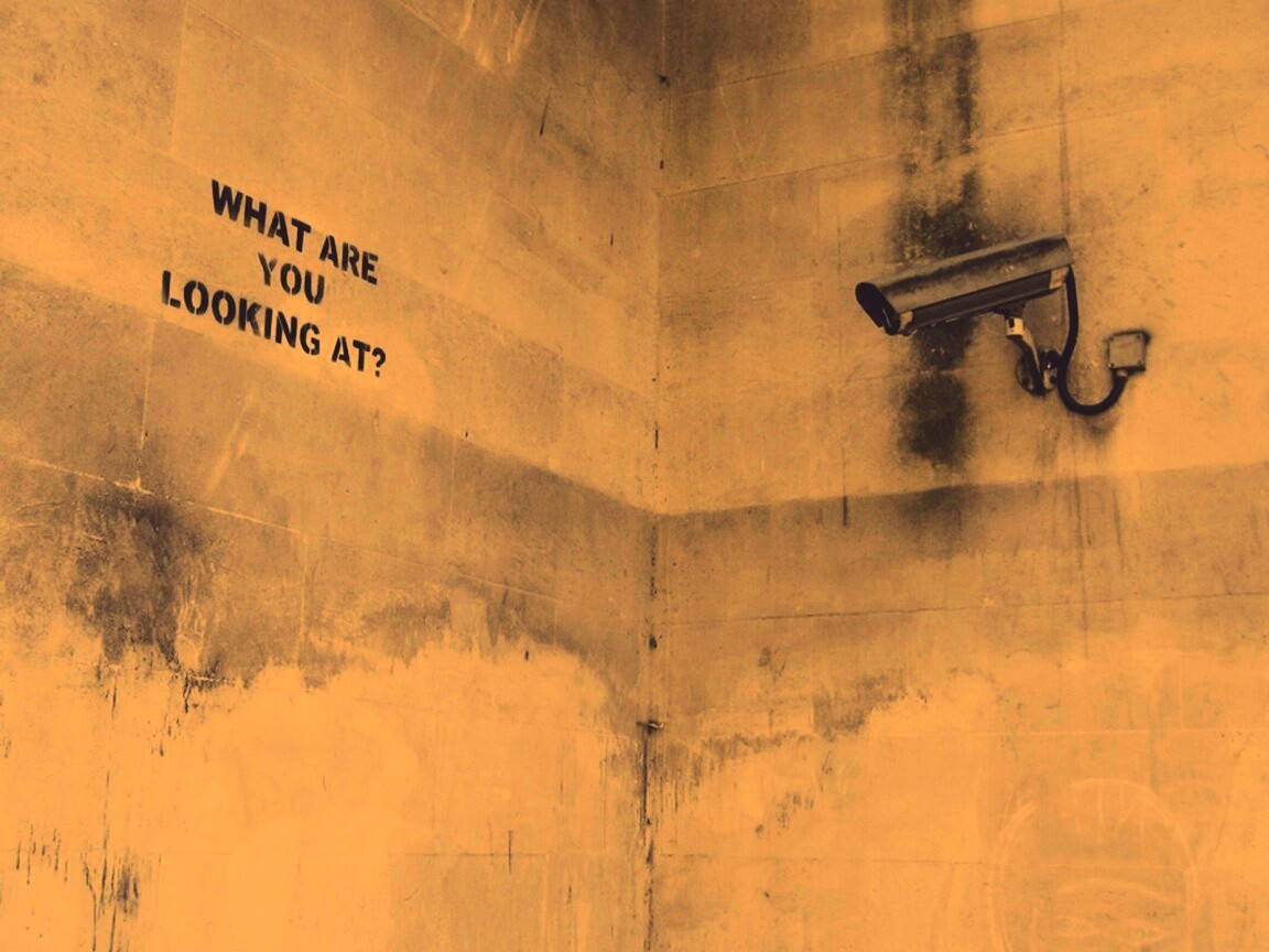 На что ты смотришь? обои