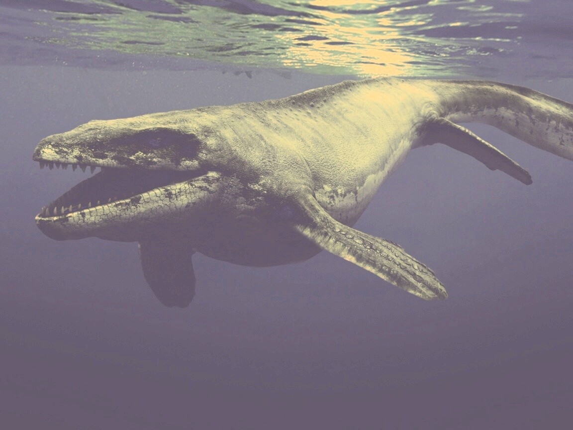 Морской динозавр обои