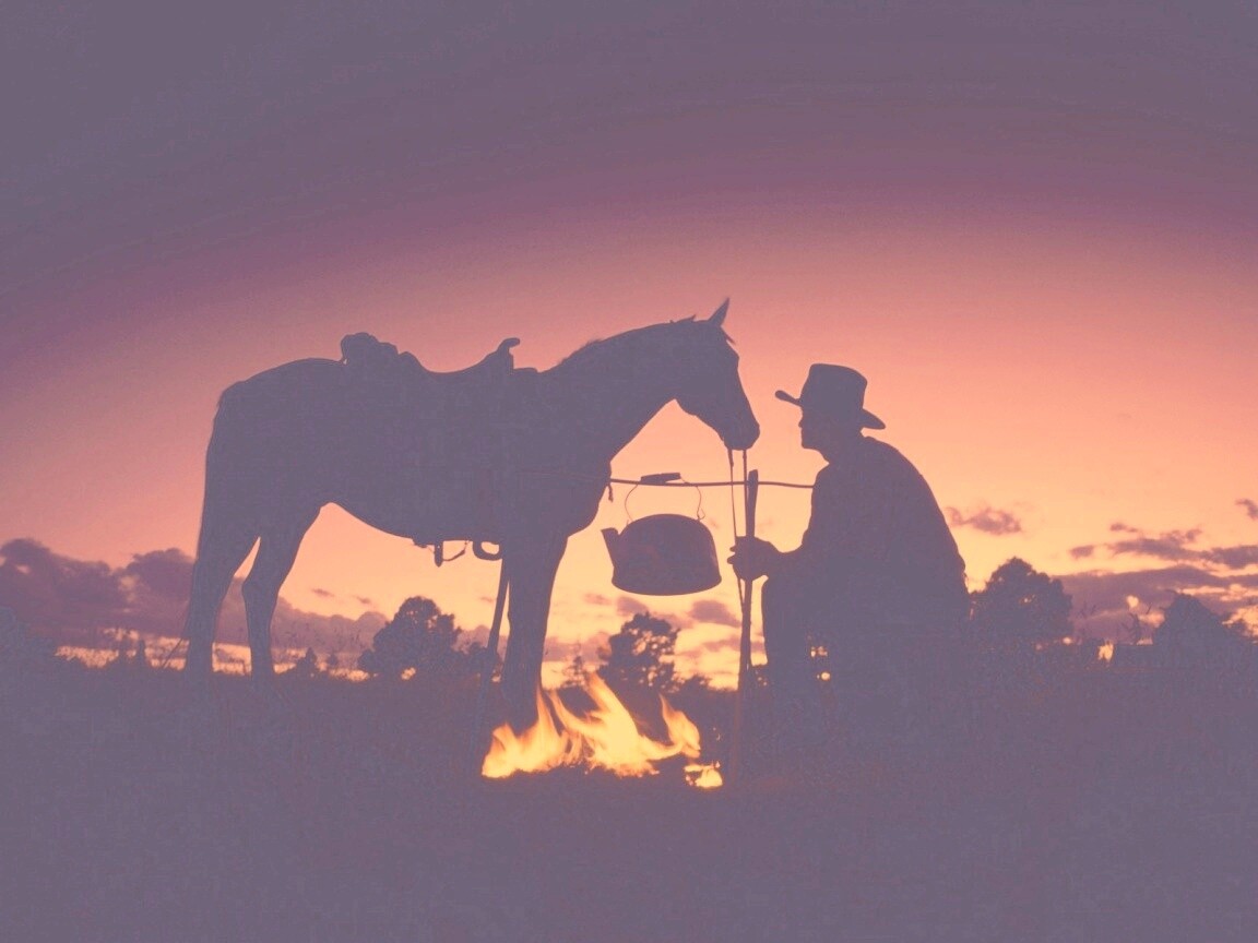 Ковбой на привале обои