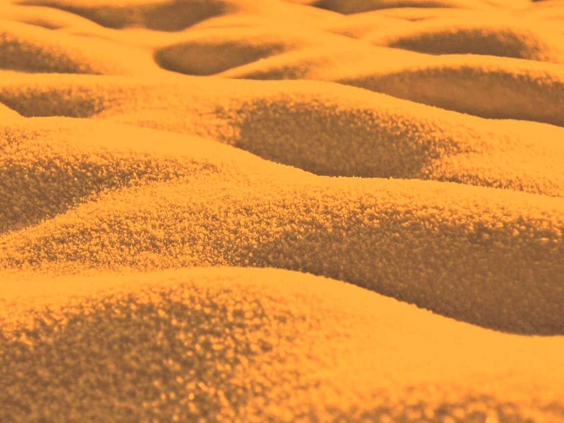 Песчаные бугры обои
