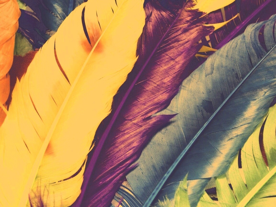 Разноцветные перья обои