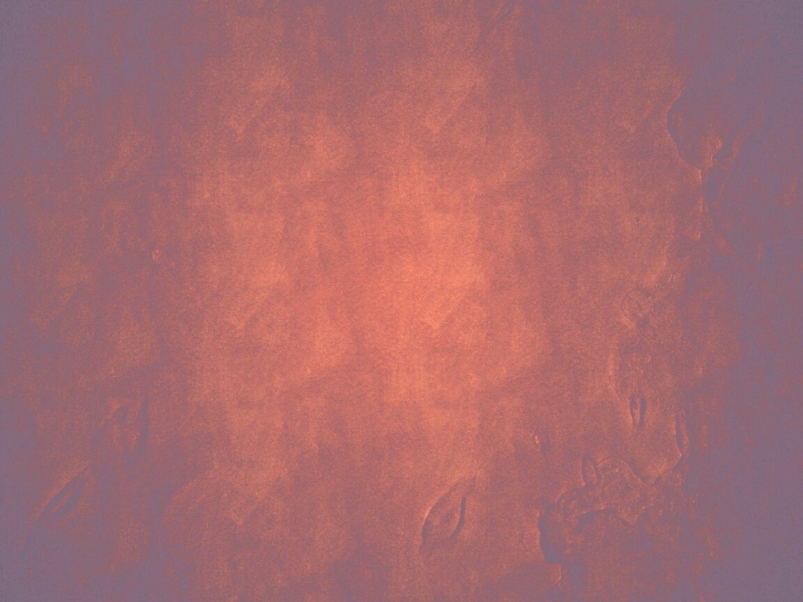 Красные пятна обои