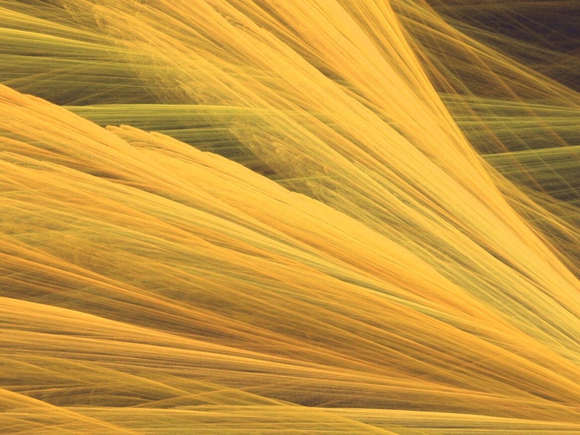 Прозрачные зеленоватые крылья обои