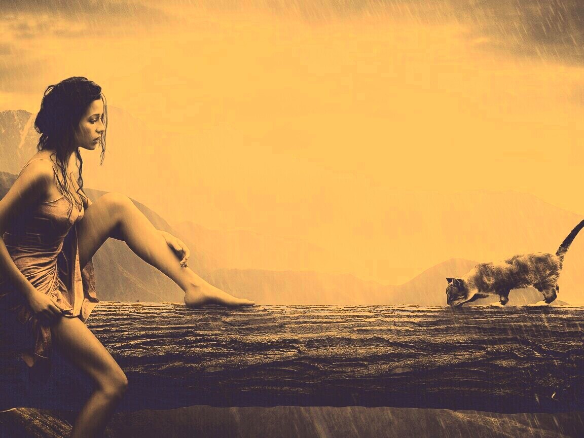 Девушка и кошка обои