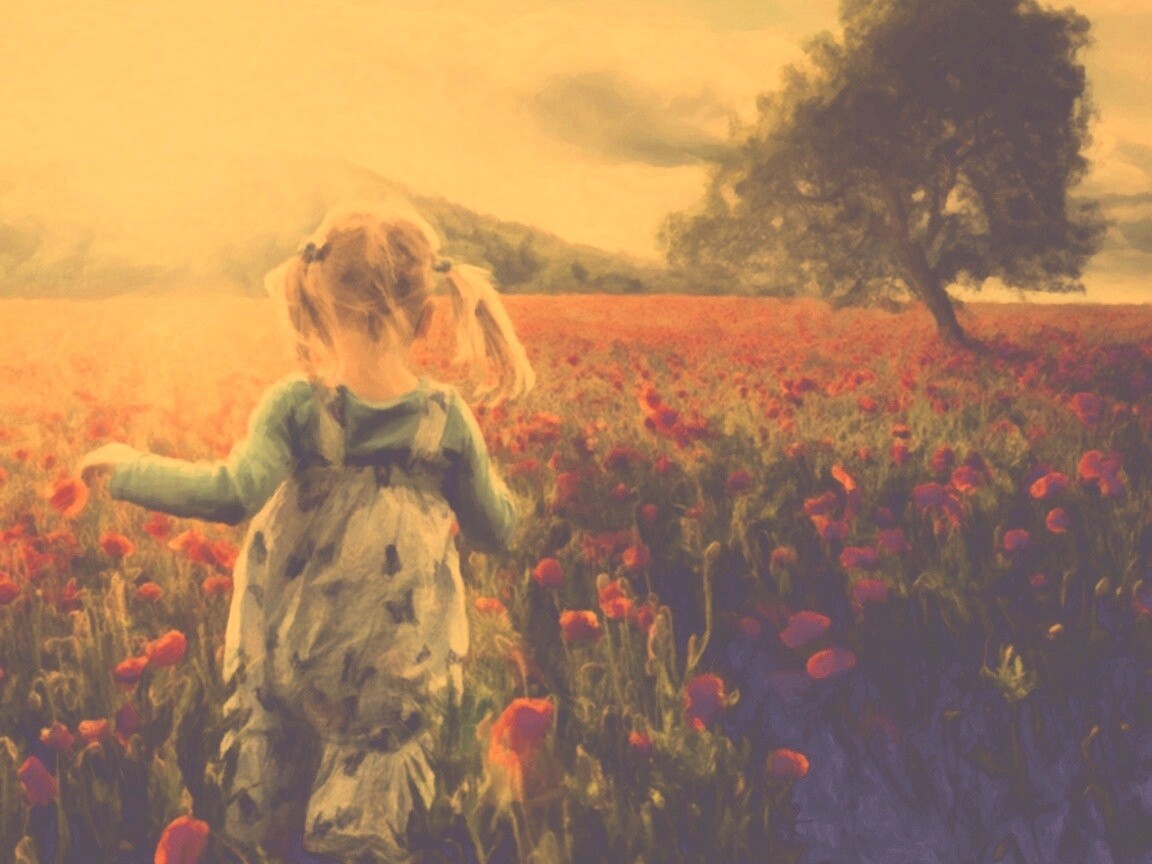 Девочка на маковом поле обои