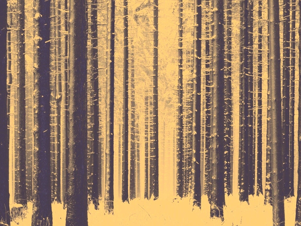 Зимний лес как штрихкод обои