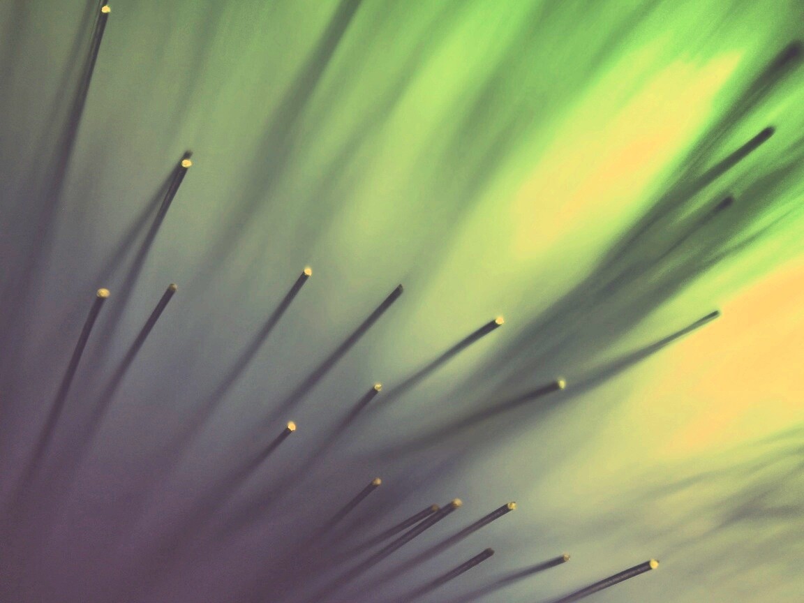 Световоды в рассеяном свете обои