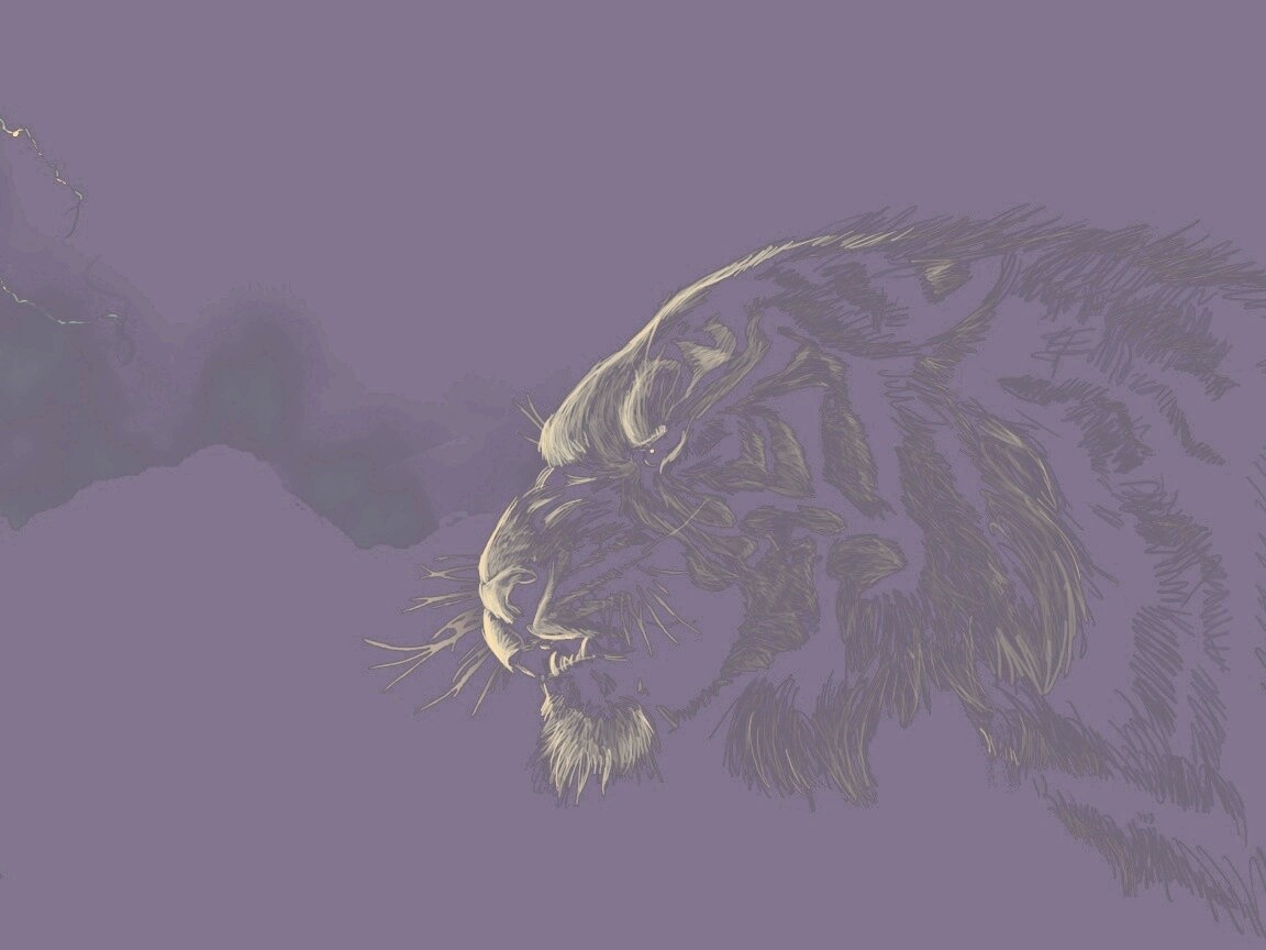 Рисунок грозного тигра обои