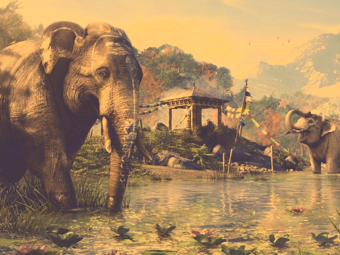 Слоники у воды обои