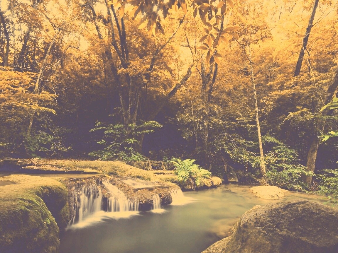 Водопадик в осеннем лесу обои