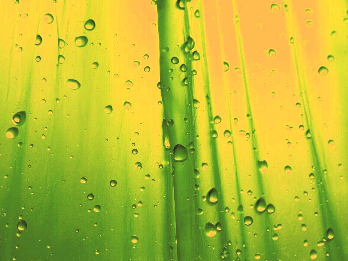 Капли на зеленом пластике обои