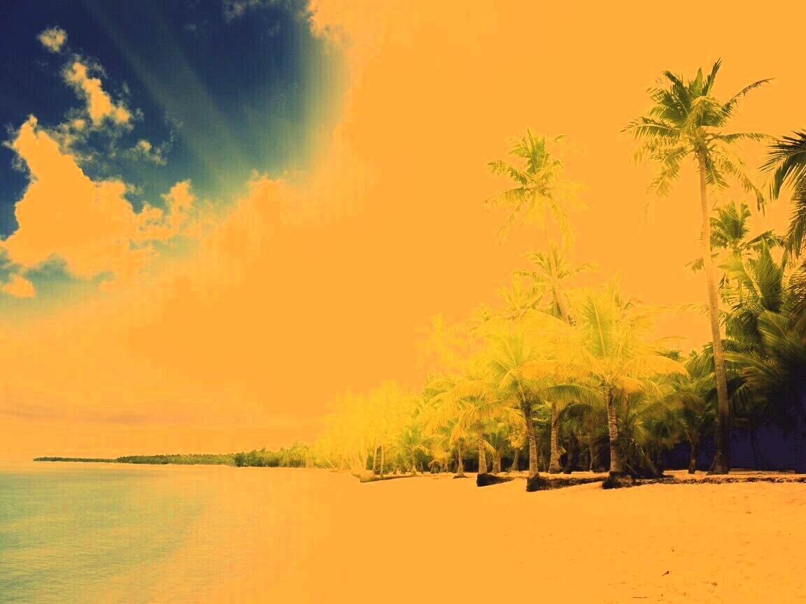 Тропическое побережье обои