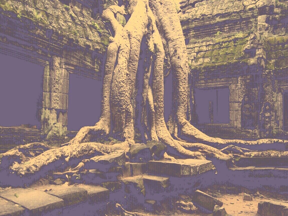 Мощные корни обои