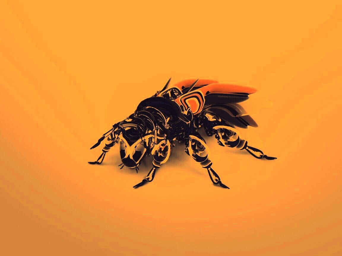 Кибер муха обои