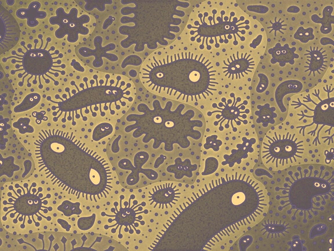 Микроорганизмы обои