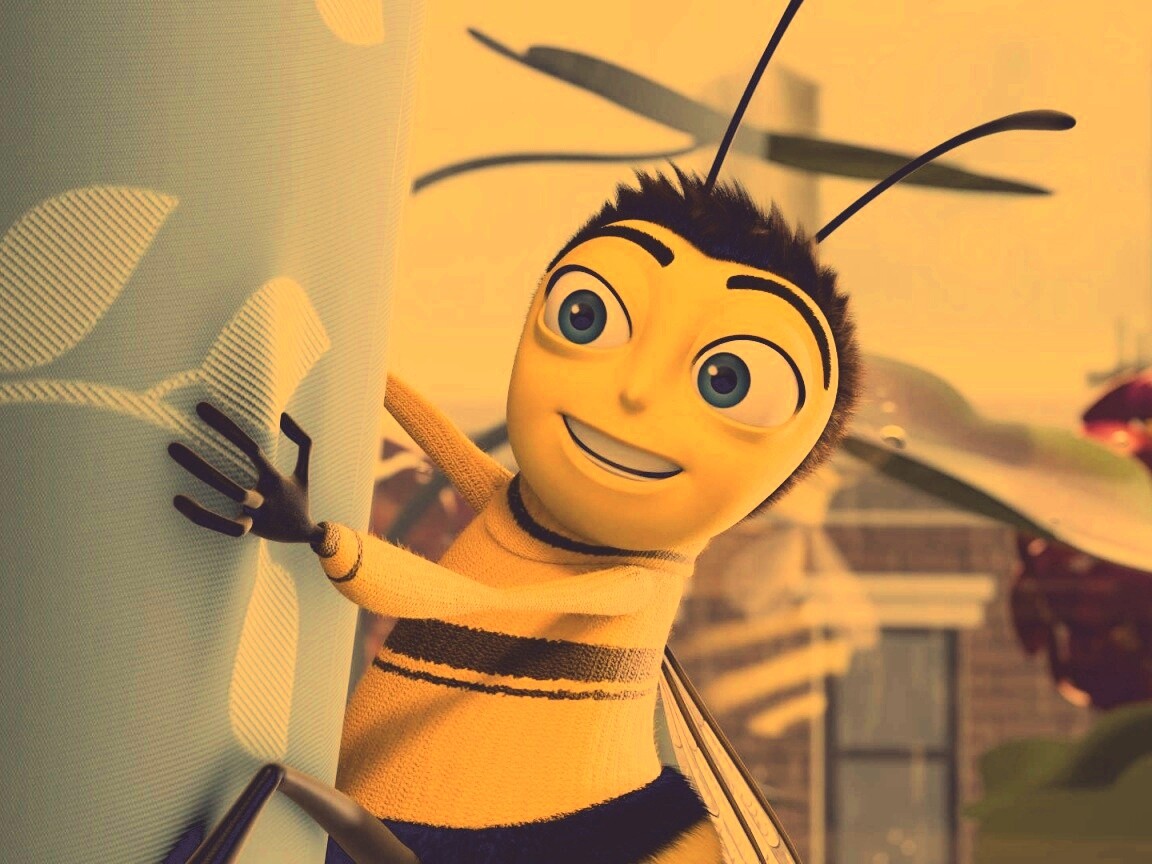 Бимуви обои