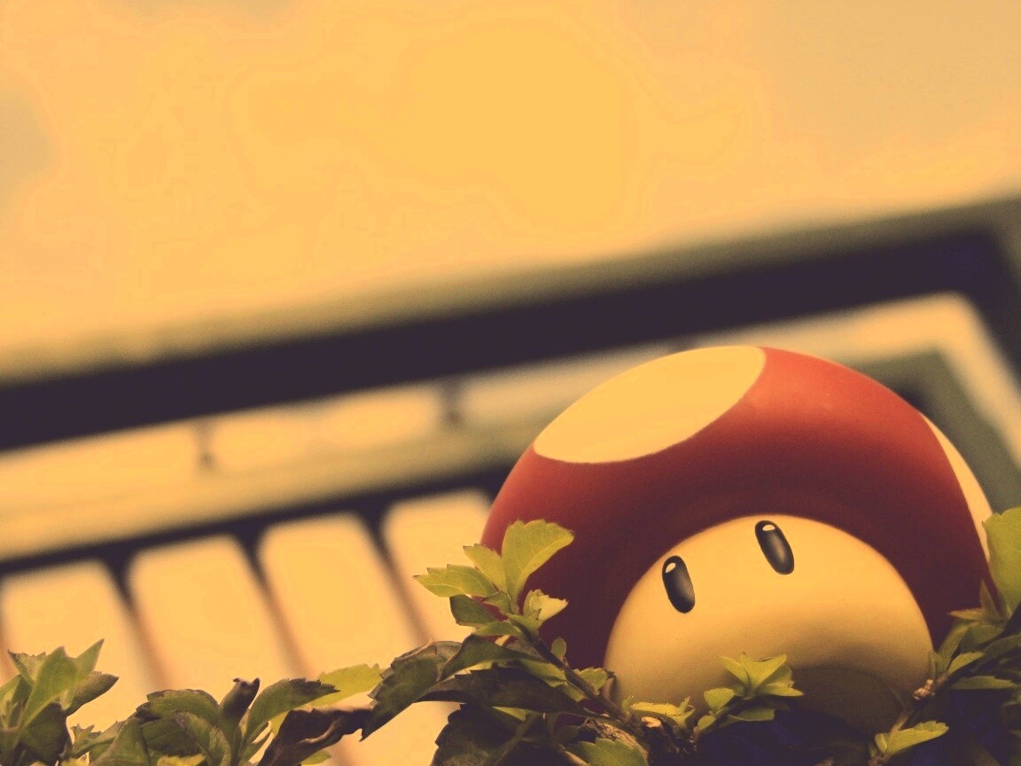 Гриб из Марио обои