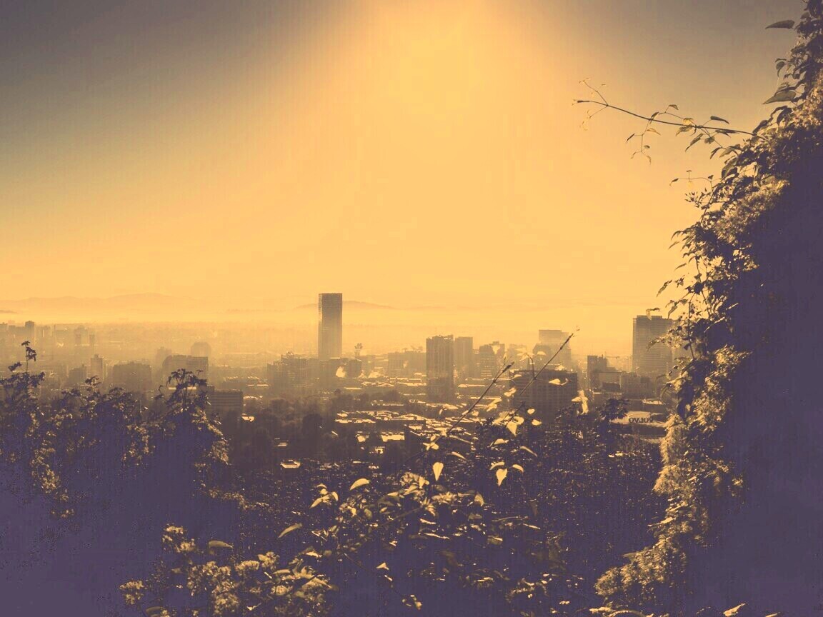 Утро в раю обои