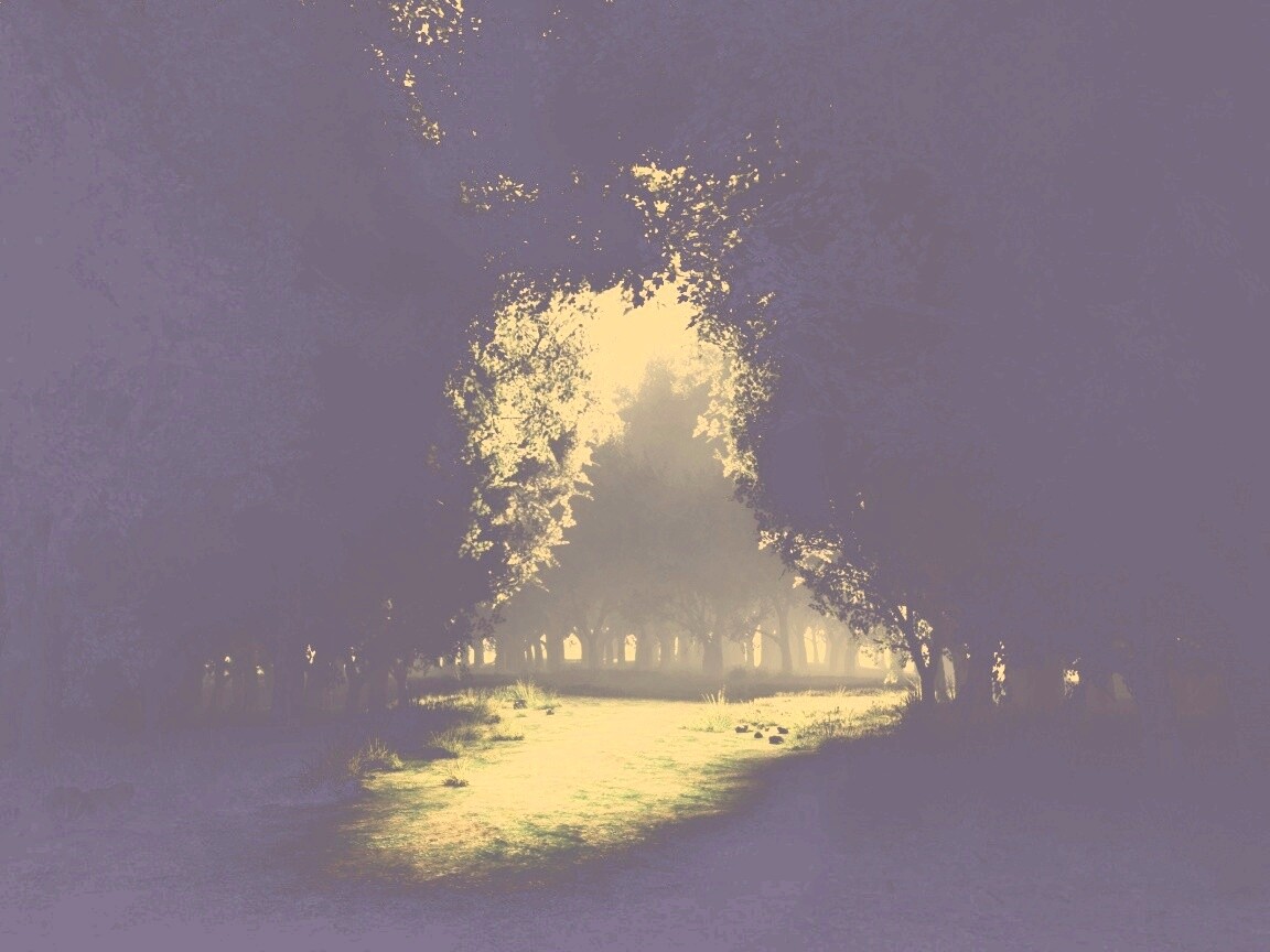 Сумерки в волшебном лесу обои